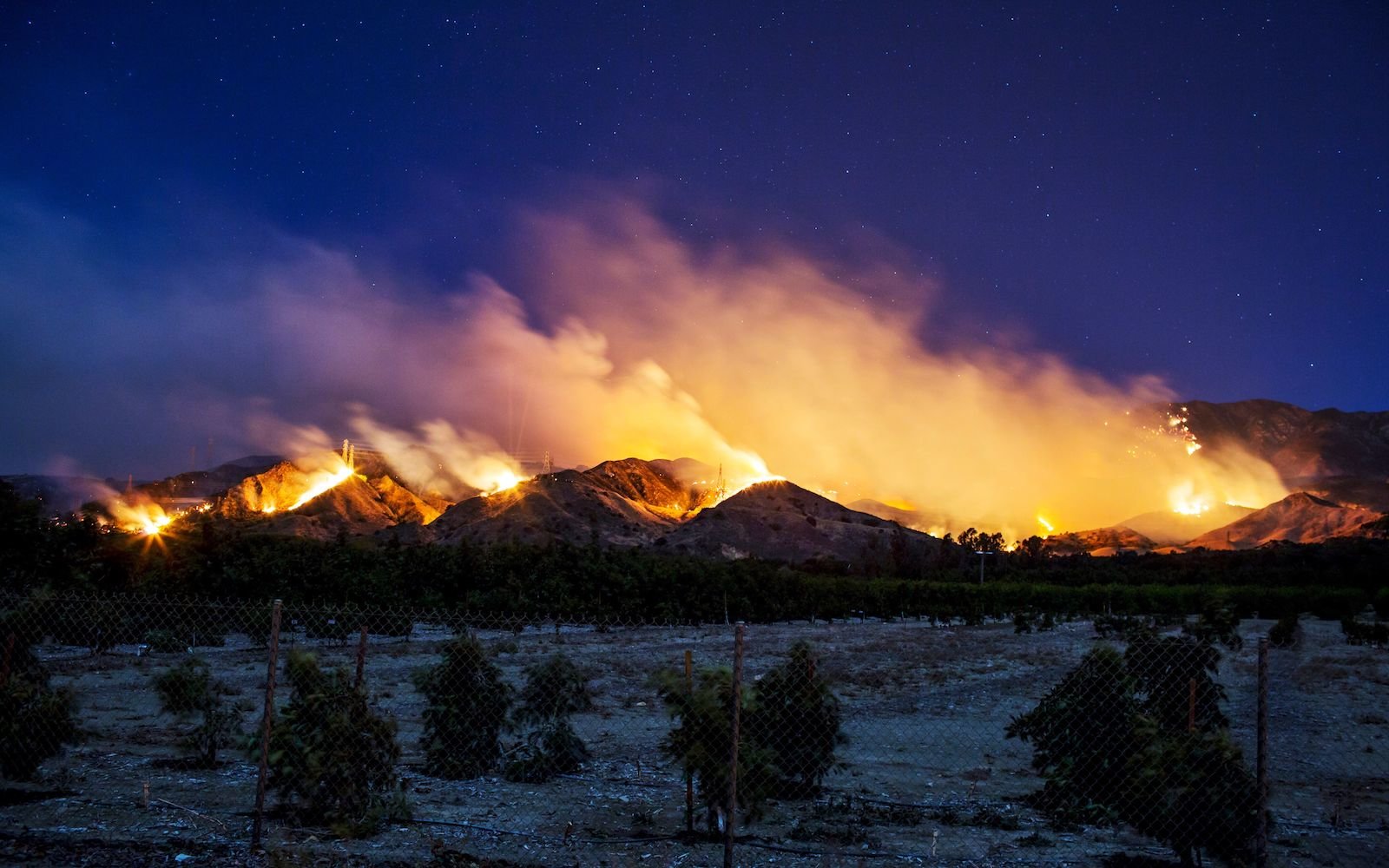 US-CALIFORNIA-WILDFIRES The Thomas Fire burns along a hillside near Santa Paula, California, on December 5, 2017.
More than a thousand firefighters were struggling to contain a wind-whipped brush fire in southern California on December 5 that has left at least one person dead, sent thousands fleeing, and was choking the area with thick black smoke. / AFP PHOTO / Kyle Grillot (Photo credit should read KYLE GRILLOT/AFP/Getty Images)